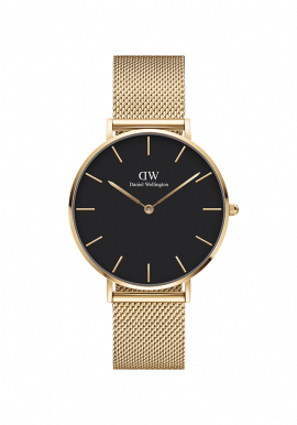 Petite 36 Evergold