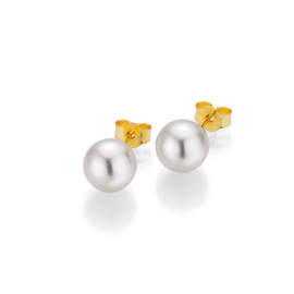Basics Ohrstecker