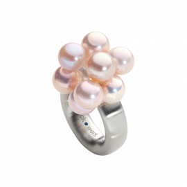 Ring Wolke