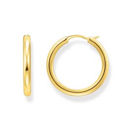 Creolen mit klassisch-elegantem Design vergoldet