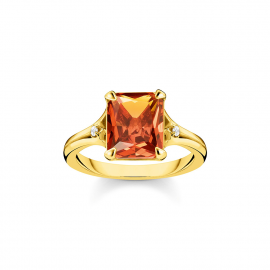 Ring oranger Stein