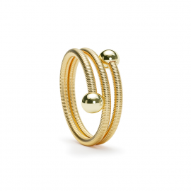 Colette C Embrace Ring 2-fach