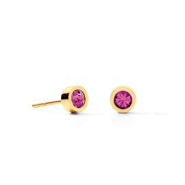 Ohrringe Sparkling Dots gold-pink
