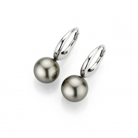 Modern Classics Creole