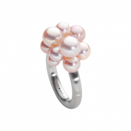 Ring Wolke, Edition 25