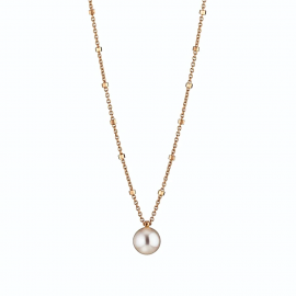 Delight Collier