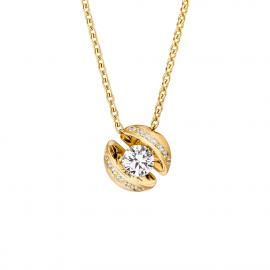 Calla Collier