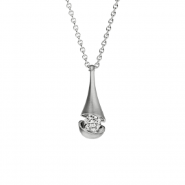 Calla Collier