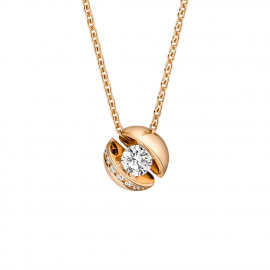 Calla Collier