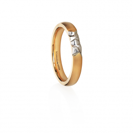 Ring Herren
