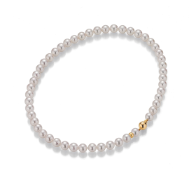 Basics Collier