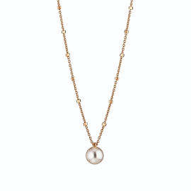 Delight Collier