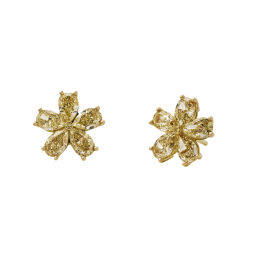 Classic Krieger Diamant Ohrstecker