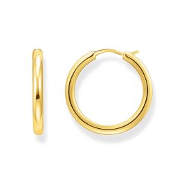 Creolen mit klassisch-elegantem Design vergoldet